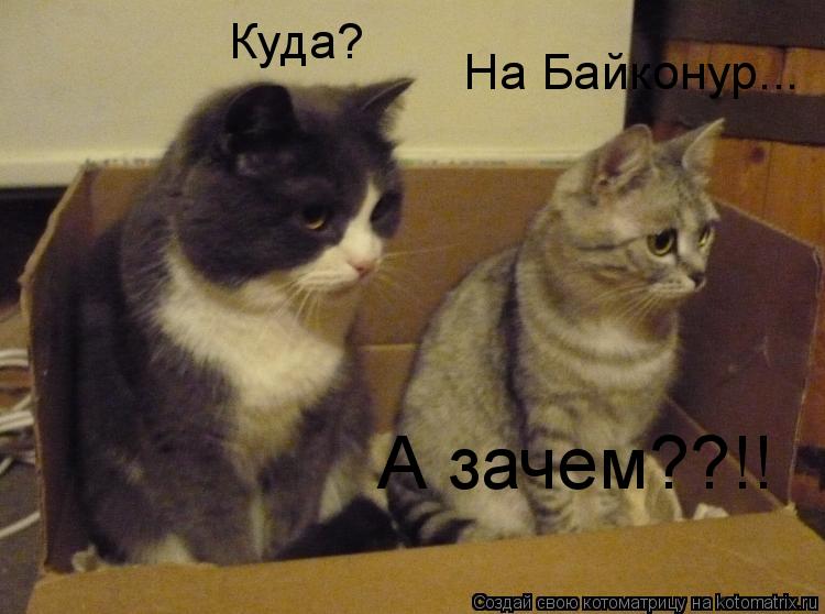 Куда? На Байконур... А зачем??!!... Котоматрица: Куда? На Байконур... А зачем??!!