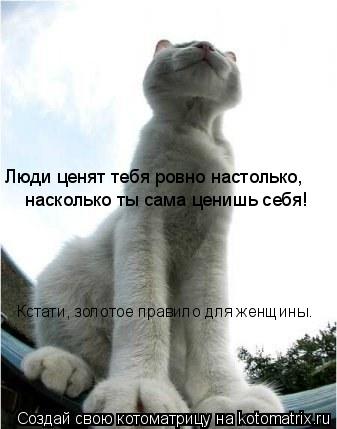 Люди ценят тебя ровно настолько, насколько ты сама ценишь себя! Кстати, золотое правило для женщины.... Котоматрица: Люди ценят тебя ровно настолько, насколько ты сама ценишь себя! Кстати, золотое правило для женщины.
