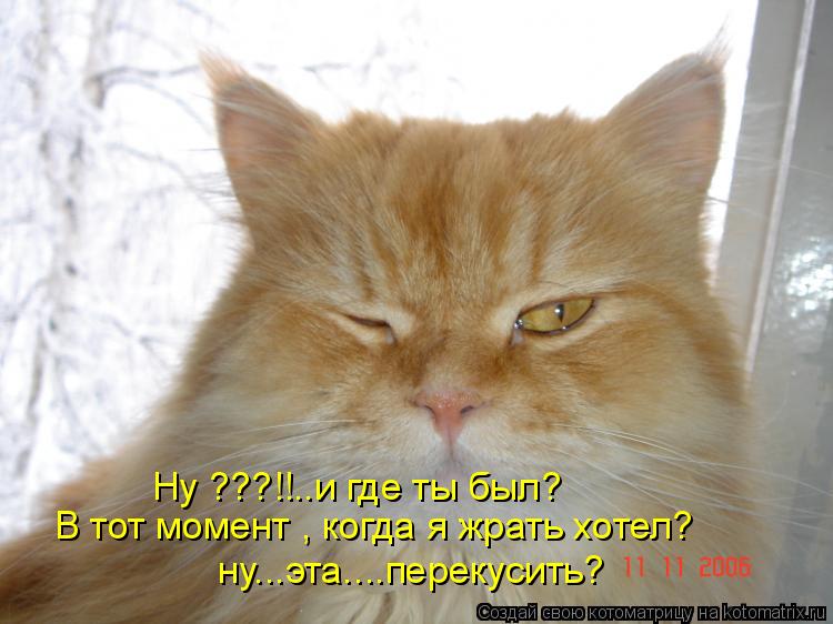 Ну ???!!..и где ты был? В тот момент , когда я жрать хотел? ну...эта....перекусить?... Котоматрица: Ну ???!!..и где ты был? В тот момент , когда я жрать хотел? ну...эта....перекусить?