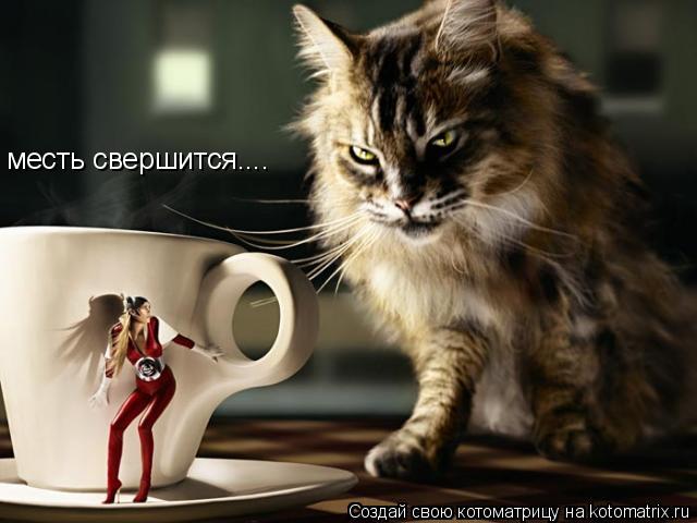 Котоматрица: месть свершится....