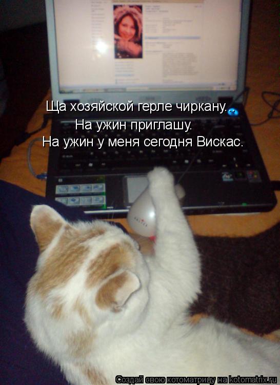 Ща хозяйской герле чиркану... На ужин приглашу. На ужин у меня сегодня Вискас.... Котоматрица: Ща хозяйской герле чиркану... На ужин приглашу. На ужин у меня сегодня Вискас.