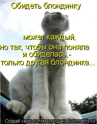 Обидеть блондинку может каждый, но так, чтобы она поняла и обиделась,- только другая блондинка...... Котоматрица: Обидеть блондинку может каждый, но так, чтобы она поняла и обиделась,- только другая блондинка...