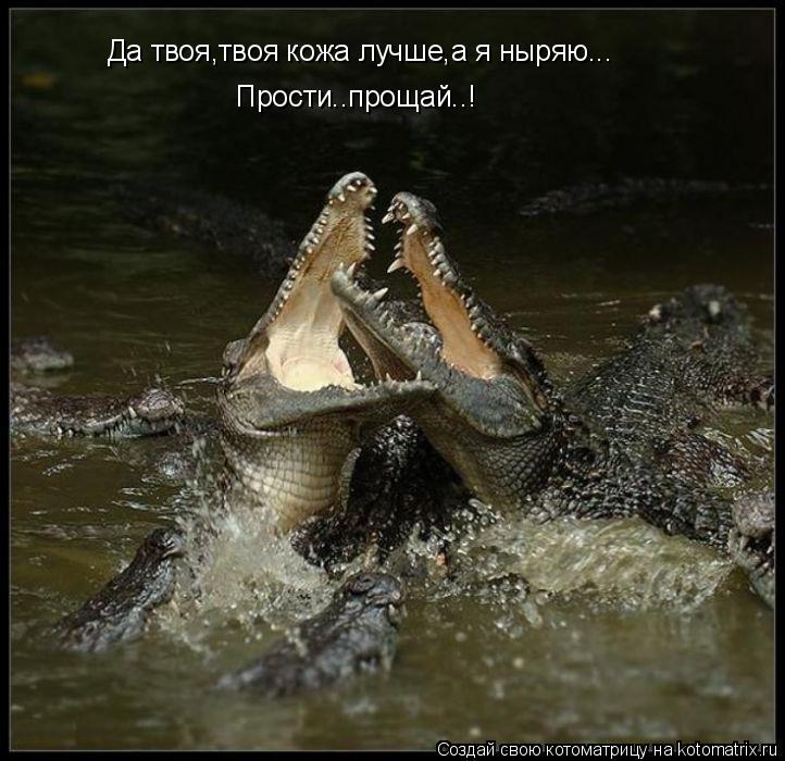 Котоматрица: Да твоя,твоя кожа лучше,а я ныряю... Прости..прощай..!