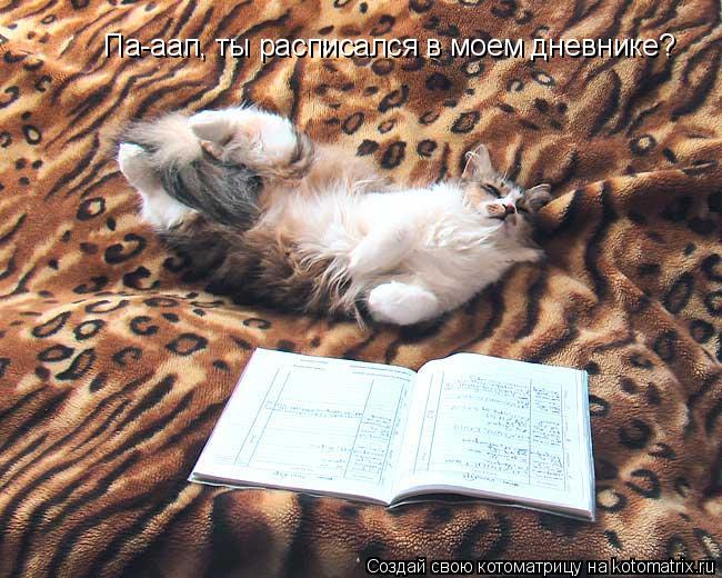 Па-аап, ты расписался в моем дневнике?... Котоматрица: Па-аап, ты расписался в моем дневнике?