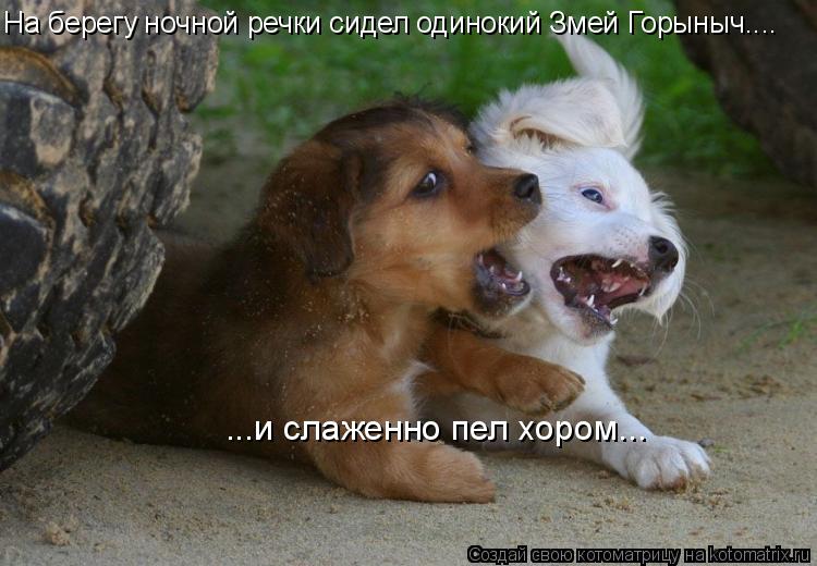 На берегу ночной речки сидел одинокий Змей Горыныч.... ...и слаженно пел хором...... Котоматрица: На берегу ночной речки сидел одинокий Змей Горыныч.... ...и слаженно пел хором...