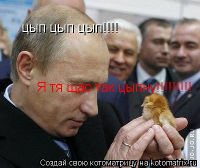 цып цып цып!!!! Я тя щас так цыпну!!!!!!!!!... Котоматрица: цып цып цып!!!! Я тя щас так цыпну!!!!!!!!!
