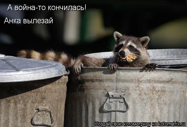 А война-то кончилась! Анка вылезай... Котоматрица: А война-то кончилась! Анка вылезай