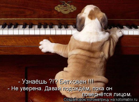 - Узнаёшь ?!? Бетховен !!! - Не уверена. Давай подождём, пока он повернётся лицом.... Котоматрица: - Узнаёшь ?!? Бетховен !!! - Не уверена. Давай подождём, пока он повернётся лицом.