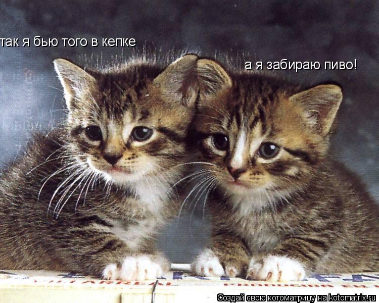 так я бью того в кепке а я забираю пиво!... Котоматрица: так я бью того в кепке а я забираю пиво!