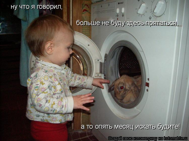 ну что я говорил, больше не буду здесь прятаться, а то опять месяц искать будите!... Котоматрица: ну что я говорил, больше не буду здесь прятаться, а то опять месяц искать будите!