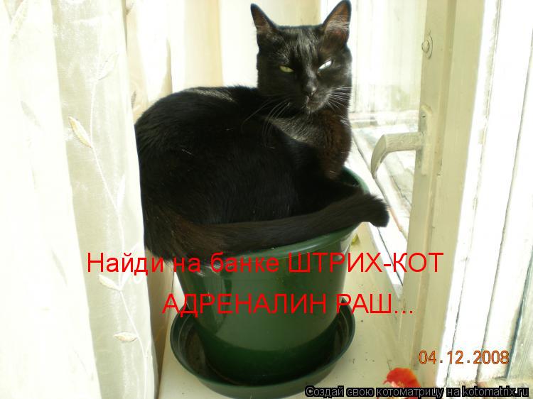 Котоматрица: Найди на банке ШТРИХ-КОТ АДРЕНАЛИН РАШ...