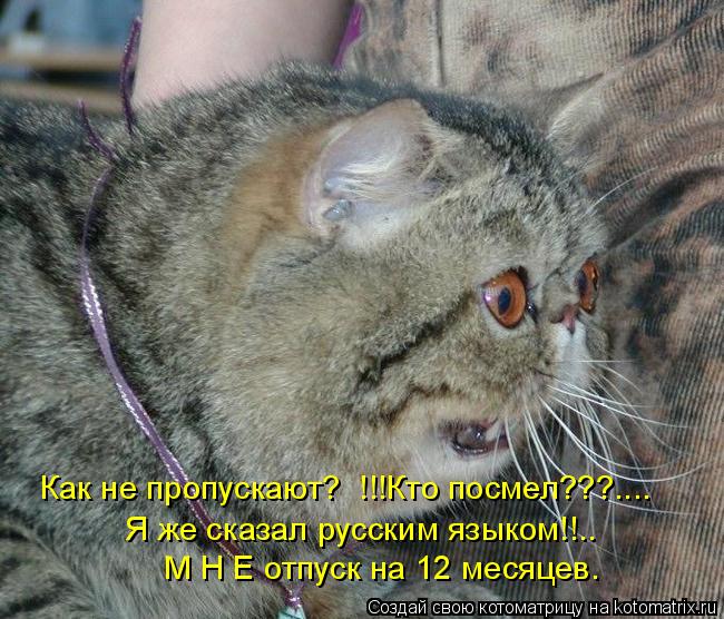 Как не пропускают? !!!Кто посмел???.... Я же сказал русским языком!!.. М Н Е отпуск на 12 месяцев.... Котоматрица: Как не пропускают? !!!Кто посмел???.... Я же сказал русским языком!!.. М Н Е отпуск на 12 месяцев.
