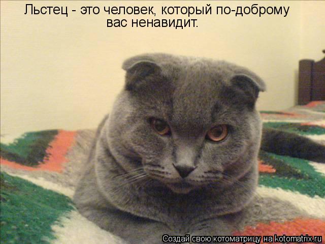 Льстец - это человек, который по-доброму вас ненавидит.... Котоматрица: Льстец - это человек, который по-доброму вас ненавидит.