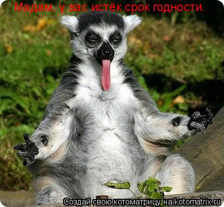 Мадам, у вас истёк срок годности.... Котоматрица: Мадам, у вас истёк срок годности.
