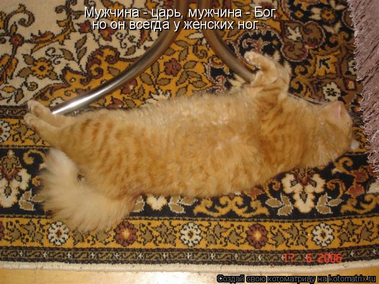 Мужчина - царь, мужчина - Бог, но он всегда у женских ног.... Котоматрица: Мужчина - царь, мужчина - Бог, но он всегда у женских ног.