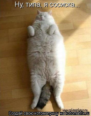 Ну, типа, я сосиска...... Котоматрица: Ну, типа, я сосиска...