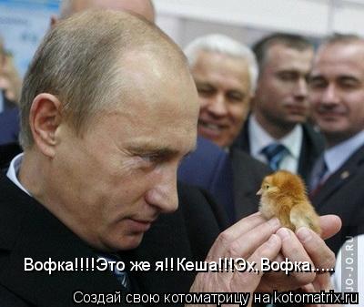 Вофка!!!!Это же я!!Кеша!!!Эх,Вофка........ Котоматрица: Вофка!!!!Это же я!!Кеша!!!Эх,Вофка.....