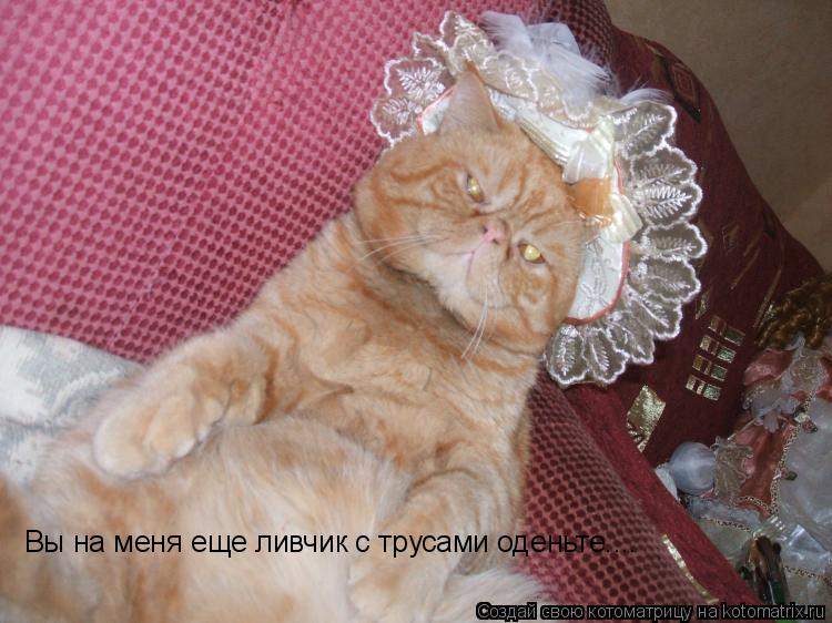 Вы на меня еще ливчик с трусами оденьте....... Котоматрица: Вы на меня еще ливчик с трусами оденьте....