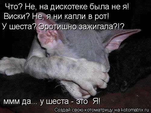 Что? Не, на дискотеке была не я! Виски? Не, я ни капли в рот! У шеста? Эротишно зажигала?!? ммм да...... Котоматрица: Что? Не, на дискотеке была не я! Виски? Не, я ни капли в рот! У шеста? Эротишно зажигала?!? ммм да... у шеста - это Я!