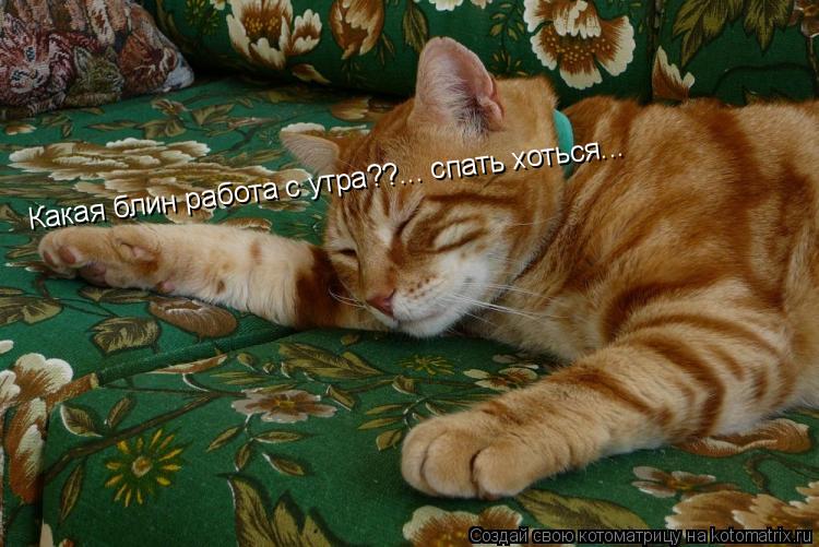 Какая блин работа с утра??... спать хоться...... Котоматрица: Какая блин работа с утра??... спать хоться...