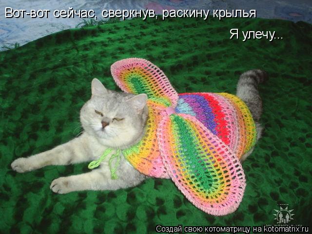 Вот-вот сейчас, сверкнув, раскину крылья Я улечу...... Котоматрица: Вот-вот сейчас, сверкнув, раскину крылья Я улечу...