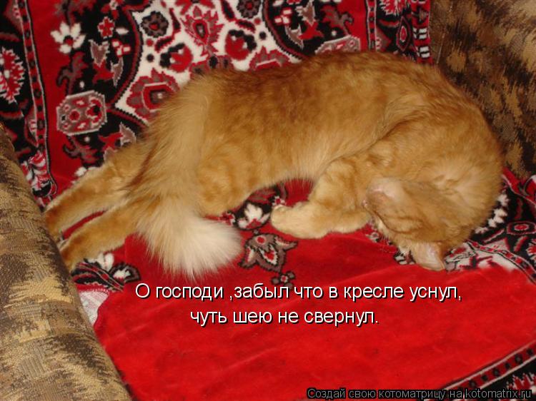 О господи ,забыл что в кресле уснул, чуть шею не свернул.... Котоматрица: О господи ,забыл что в кресле уснул, чуть шею не свернул.