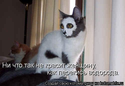 Ни что так не красит женщину, как перекись водорода.... Котоматрица: Ни что так не красит женщину, как перекись водорода.