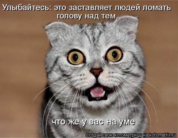 Улыбайтесь: это заставляет людей ломать голову над тем, что же у вас на уме... Котоматрица: Улыбайтесь: это заставляет людей ломать голову над тем, что же у вас на уме