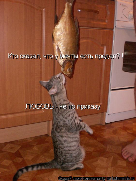 Кто сказал, что у мечты есть предел? ! ЛЮБОВЬ - не по приказу.... Котоматрица: Кто сказал, что у мечты есть предел? ! ЛЮБОВЬ - не по приказу.