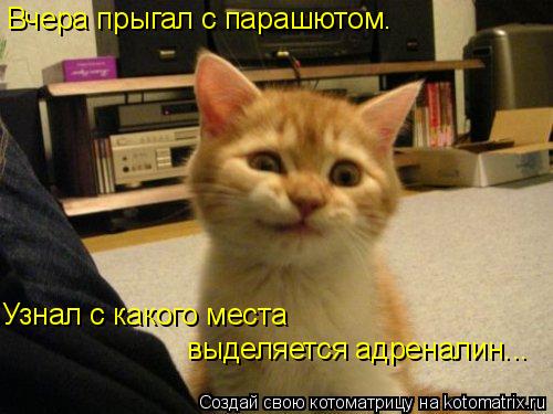 Вчера прыгал с парашютом. Узнал с какого места выделяется адреналин...... Котоматрица: Вчера прыгал с парашютом. Узнал с какого места выделяется адреналин...