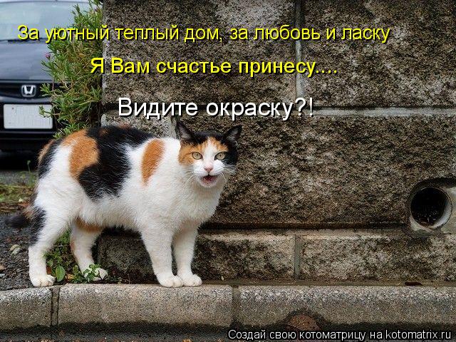 За уютный теплый дом, за любовь и ласку Я Вам счастье принесу.... Видите окраску?!... Котоматрица: За уютный теплый дом, за любовь и ласку Я Вам счастье принесу.... Видите окраску?!