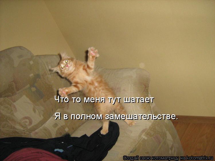 Что то меня тут шатает Я в полном замешательстве.... Котоматрица: Что то меня тут шатает Я в полном замешательстве.
