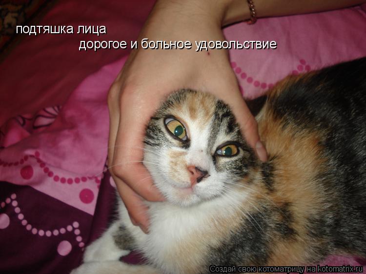 подтяшка лица дорогое и больное удовольствие... Котоматрица: подтяшка лица дорогое и больное удовольствие