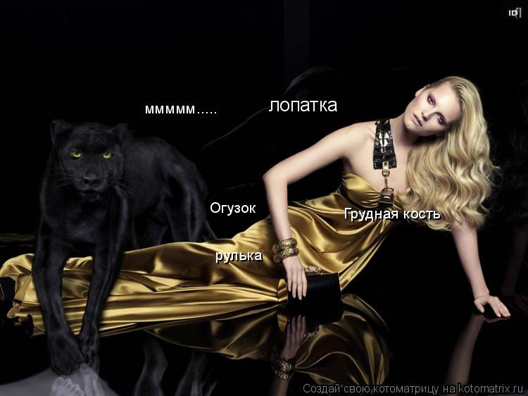 лопатка Грудная кость Огузок рулька ммммм........ Котоматрица: лопатка Грудная кость Огузок рулька ммммм.....
