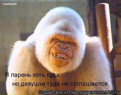 Я парень хоть куда, но девушки туда не соглашаются.... Котоматрица: Я парень хоть куда, но девушки туда не соглашаются.