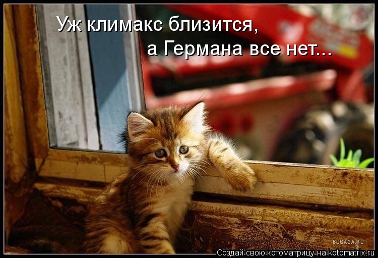Уж климакс близится, а Германа все нет...... Котоматрица: Уж климакс близится, а Германа все нет...