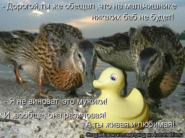 - Дорогой,ты же обещал ,что на мальчишнике никаких баб не будет! И ,вообще, она резиновая! - Я не ви... Котоматрица: - Дорогой,ты же обещал ,что на мальчишнике никаких баб не будет! И ,вообще, она резиновая! - Я не виноват, это мужики! А ты живая и любимая!