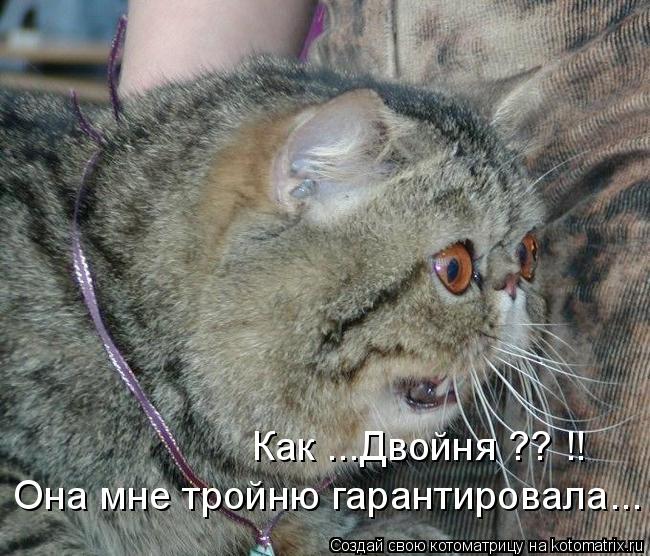 Как ...Двойня ?? !! Она мне тройню гарантировала...... Котоматрица: Как ...Двойня ?? !! Она мне тройню гарантировала...