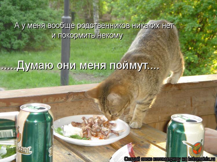 А у меня вообще родственников никаких нет и покормить некому .....Думаю они меня поймут....... Котоматрица: А у меня вообще родственников никаких нет и покормить некому .....Думаю они меня поймут....