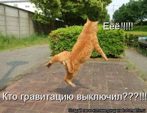 Еёё!!!!! Кто гравитацию выключил???!!!... Котоматрица: Еёё!!!!! Кто гравитацию выключил???!!!