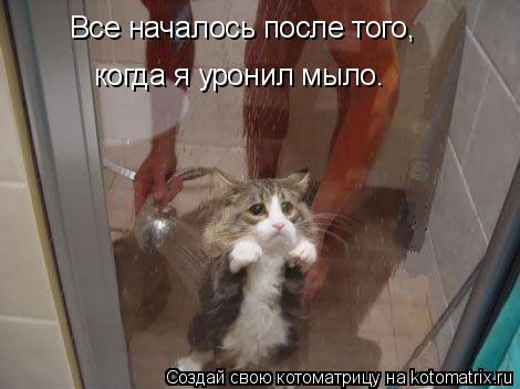 Все началось после того, когда я уронил мыло…... Котоматрица: Все началось после того, когда я уронил мыло…