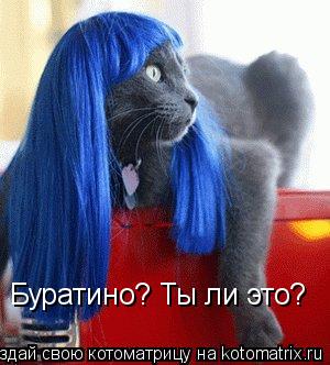 Буратино? Ты ли это?... Котоматрица: Буратино? Ты ли это?