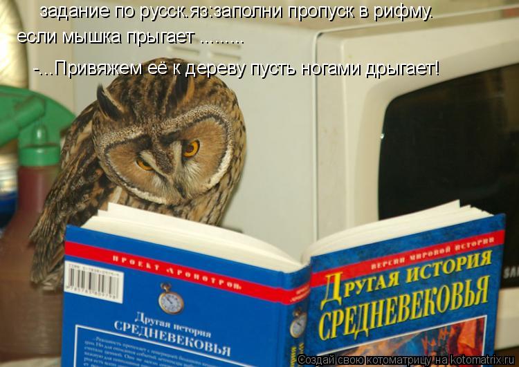 задание по русск.яз:заполни пропуск в рифму. если мышка прыгает ......... -...Привяжем её к дереву пу... Котоматрица: задание по русск.яз:заполни пропуск в рифму. если мышка прыгает ......... -...Привяжем её к дереву пусть ногами дрыгает!