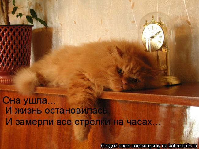 Она ушла... И жизнь остановилась. И замерли все стрелки на часах...... Котоматрица: Она ушла... И жизнь остановилась. И замерли все стрелки на часах...