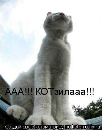 ААА!!! КОТзилааа!!!... Котоматрица: ААА!!! КОТзилааа!!!