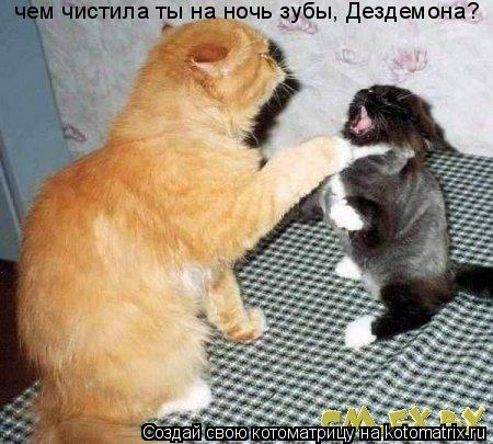 чем чистила ты на ночь зубы, Дездемона?... Котоматрица: чем чистила ты на ночь зубы, Дездемона?