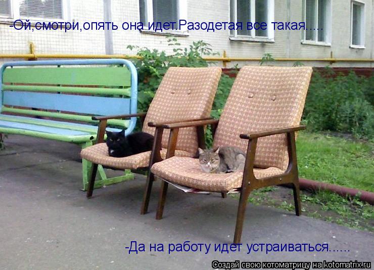 -Ой,смотри,опять она идет.Разодетая все такая..... -Да на работу идет устраиваться......... Котоматрица: -Ой,смотри,опять она идет.Разодетая все такая..... -Да на работу идет устраиваться......