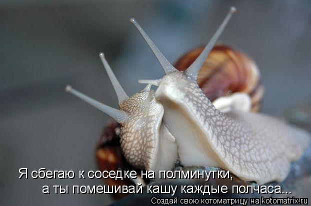 Я сбегаю к соседке на полминутки, а ты помешивай кашу каждые полчаса...... Котоматрица: Я сбегаю к соседке на полминутки, а ты помешивай кашу каждые полчаса...