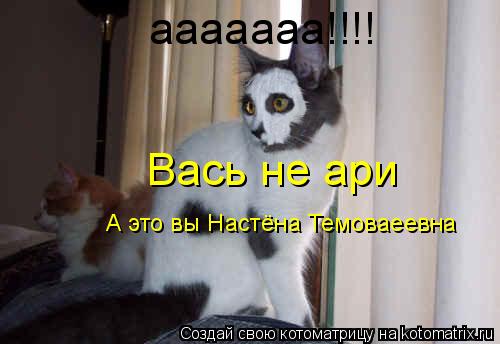 ааааааа!!!! Вась не ари А это вы Настёна Темоваеевна... Котоматрица: ааааааа!!!! Вась не ари А это вы Настёна Темоваеевна