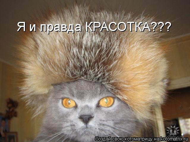 Я и правда КРАСОТКА???... Котоматрица: Я и правда КРАСОТКА???